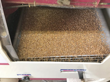 麦の籾摺り機選別