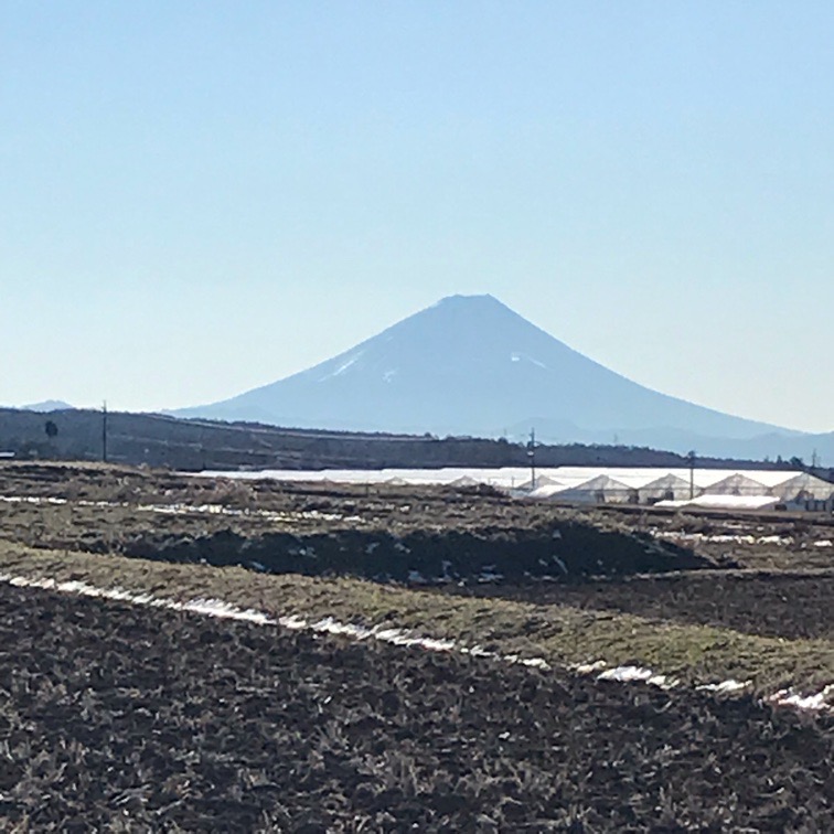 １月１日の富士山