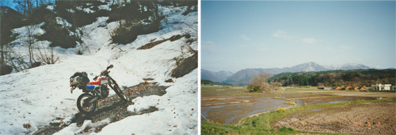 1994年白神山地付近