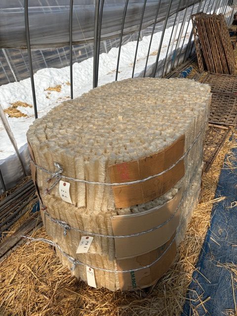 完成したマルタバ